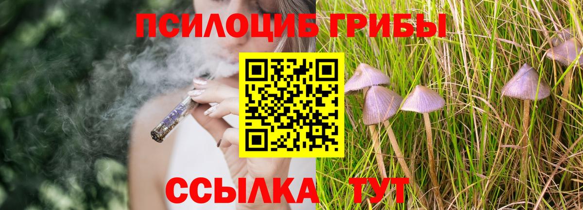 Галлюциногенные грибы мухоморы  Вход с VPN  Кинель 